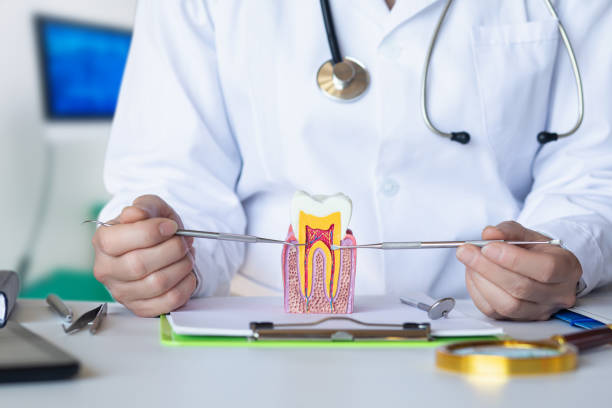 Best Emergency Root Canal Treatment in Merchantville, NJ